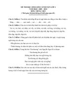 DE THI TV HSG KHOI 4 - 2010