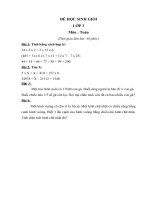 Đề ôn luyện HSG môn Toán 3 (Đề 2)