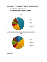 Write a report for a university lecturer describing the information belo2 pot