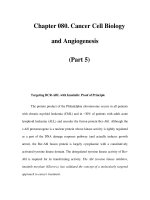Chapter 080. Cancer Cell Biology and Angiogenesis (Part 5) pps