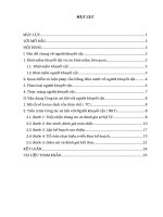 cách thức vận dụng quản lý ca trong công tác xã hội