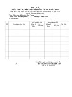 PHỤ LỤC 3 tong hop to chuyen mon theo QD 14