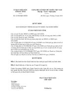 Quyết định Số: 22/2010/QĐ-UBND ppsx