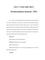 GIẢ U VÀNG SỢI CHUN (Pseudoxanthoma elasticum - PXE) ppt