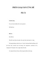 PHÂN LOẠI XƠ CỨNG BÌ (Kỳ 2) pot