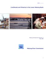 Livelihoods and Fisheries in the Lower Mekong Basin Mekong Development Series potx