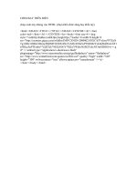 CODE CHIM BAY TRÊN BIỂN