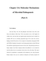 Chapter 114. Molecular Mechanisms of Microbial Pathogenesis (Part 3) doc