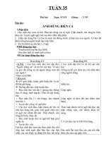 GIAO AN  LOP 1-TUAN 35(CKTKN)