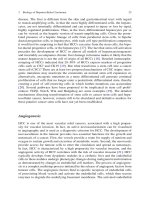 Hepatocellular Carcinoma: Targeted Therapy and Multidisciplinary P5 ppsx