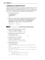 Red Hat Linux Networking , System Administration (P13) pot