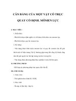 Vật lý lớp 10 cơ bản - CÂN BẰNG CỦA MỘT VẬT CÓ TRỤC QUAY CỐ ĐỊNH - MÔMEN LỰC pptx