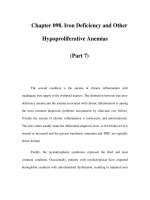 Chapter 098. Iron Deficiency and Other Hypoproliferative Anemias (Part 7) pdf