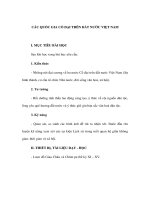 CÁC QUỐC GIA CỔ ĐẠI TRÊN ĐẤT NƯỚC VIỆT NAM - Giáo án lịch sử lớp 9 pptx