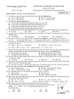 De va DA Thu DH 2010 Hoa