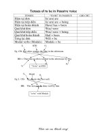 Tenses of to be in Passive voice.doc
