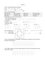 Đề thi HKII ( toán 1)