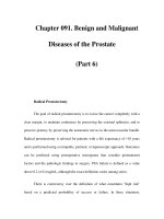 Chapter 091. Benign and Malignant Diseases of the Prostate (Part 6) docx