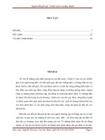 kỹ năng công tác xã hội đã được học để đưa ra cách thức can thiệp trợ giúp với trẻ khuyết tật cụ thể