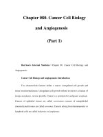 Chapter 080. Cancer Cell Biology and Angiogenesis (Part 1) pps