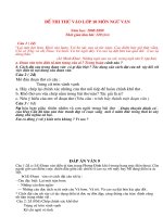 thi thu van 10 -2009.doc