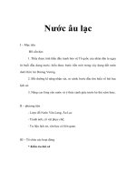 Lịch sử lớp 6 - Nước âu lạc ppt