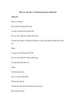 Kiểm tra nhà nước về chất lượng hàng hóa nhập khẩu pptx