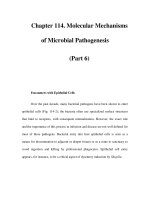 Chapter 114. Molecular Mechanisms of Microbial Pathogenesis (Part 6) docx