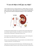 Vì sao sỏi thận có thể gây suy thận? doc