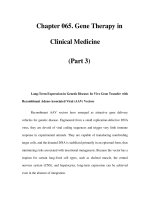 Chapter 065. Gene Therapy in Clinical Medicine (Part 3) docx