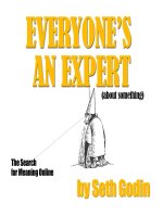 Everyone Is An Expert By Seth Godin docx