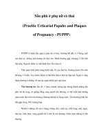 Sẩn phù ở phụ nữ có thai (Pruritic Urticarial Papules and Plaques of Pregnancy - PUPPP) ppt