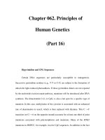 Chapter 062. Principles of Human Genetics (Part 16) docx