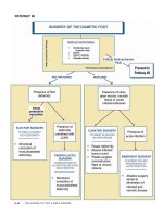 Diabeticcpg small 2 (Part 6) potx