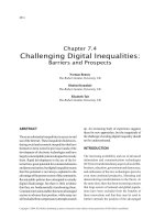 Electronic Business: Concepts, Methodologies, Tools, and Applications (4-Volumes) P209 pptx