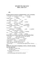 Đề Kiểm tra Học kỳ II môn Tiếng Anh khối lớp 7
