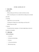 Vật lý lớp 9 - TỪ PHỔ – ĐƯỜNG SỨC TỪ docx