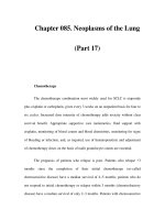 Chapter 085. Neoplasms of the Lung (Part 17) docx