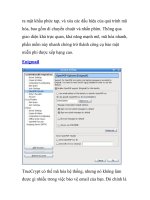 Bộ công cụ bảo mật đáng chú ý năm 2010- P4 pot