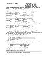 De thi HK II Tieng Anh lop 6 2009-2010