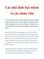 Các nhà lãnh đạo nhóm và các nhân viên doc