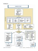 Diabeticcpg small 2 (Part 5) potx