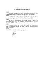 ĐỀ THI HỌC SINH GIỎI LỚP 4(I)