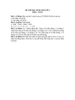 Đề thi học sinh giỏi lớp 4 cấp Huyện