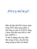 DNA ty thể là gì? pps
