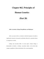 Chapter 062. Principles of Human Genetics (Part 28) ppsx