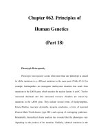 Chapter 062. Principles of Human Genetics (Part 18) ppt