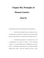 Chapter 062. Principles of Human Genetics (Part 8) docx