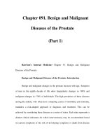 Chapter 091. Benign and Malignant Diseases of the Prostate (Part 1) pps