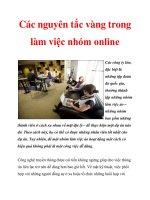 Các nguyên tắc vàng trong làm việc nhóm online doc